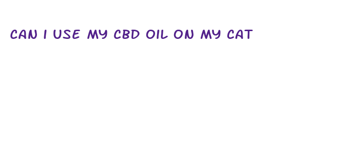 can i use my cbd oil on my cat