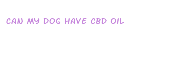 can my dog have cbd oil