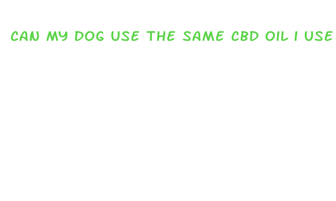 can my dog use the same cbd oil i use