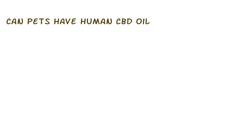 can pets have human cbd oil