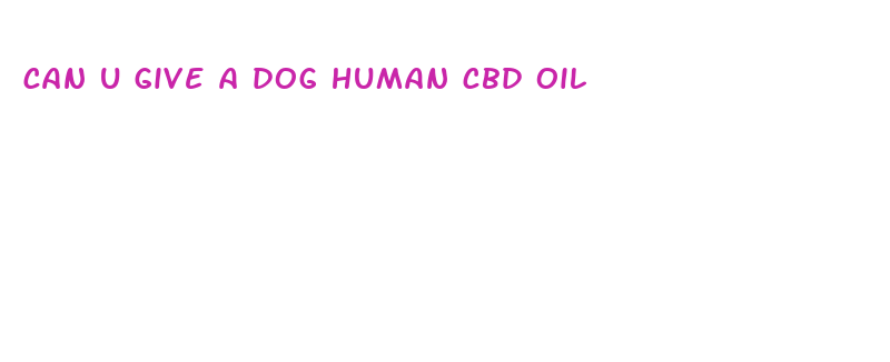 can u give a dog human cbd oil