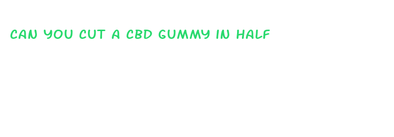 can you cut a cbd gummy in half