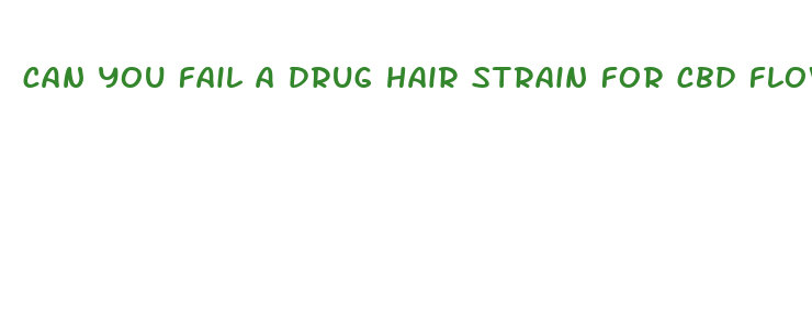 can you fail a drug hair strain for cbd flower