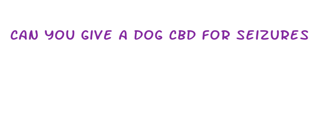 can you give a dog cbd for seizures