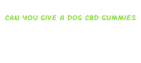 can you give a dog cbd gummies