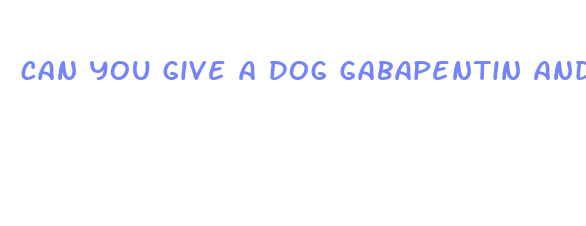 can you give a dog gabapentin and cbd oil