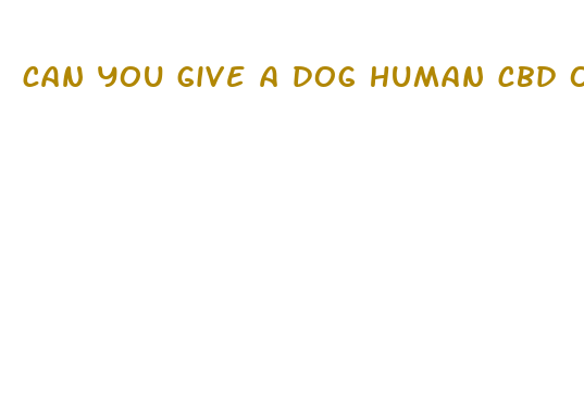 can you give a dog human cbd oil