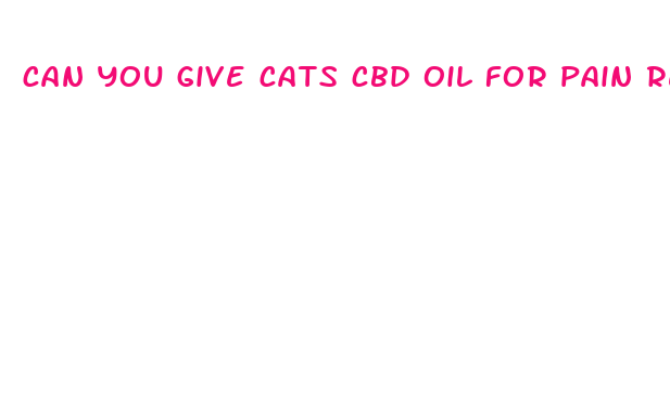 can you give cats cbd oil for pain relief