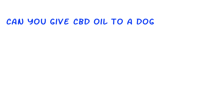 can you give cbd oil to a dog