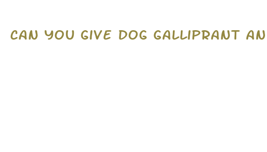 can you give dog galliprant and cbd oil together