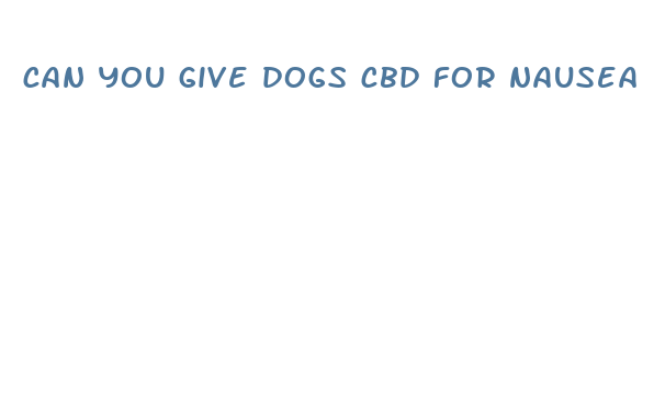 can you give dogs cbd for nausea