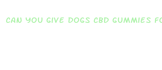 can you give dogs cbd gummies for anxiety