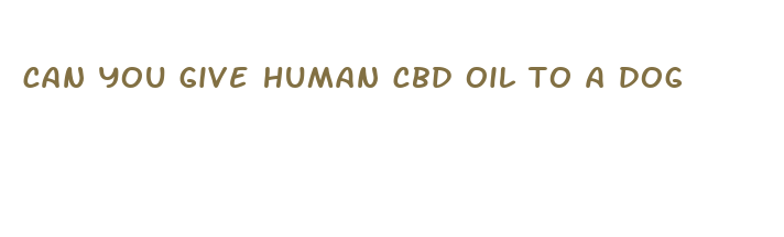 can you give human cbd oil to a dog