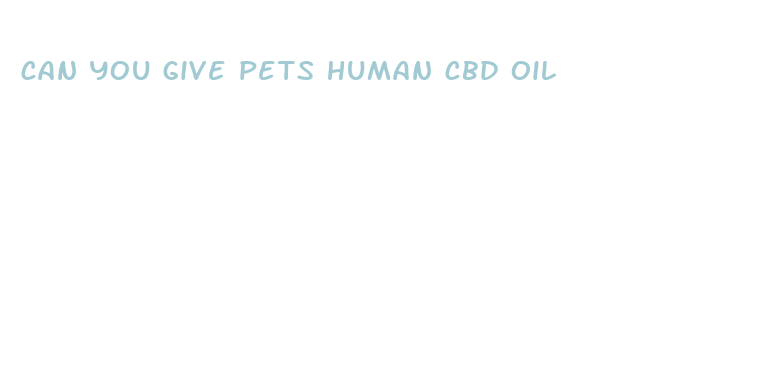 can you give pets human cbd oil