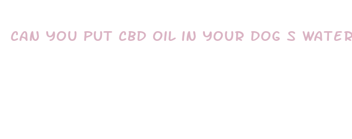 can you put cbd oil in your dog s water