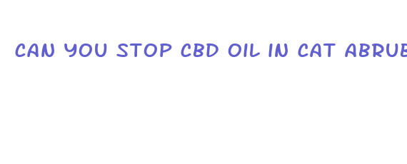 can you stop cbd oil in cat abrubtly