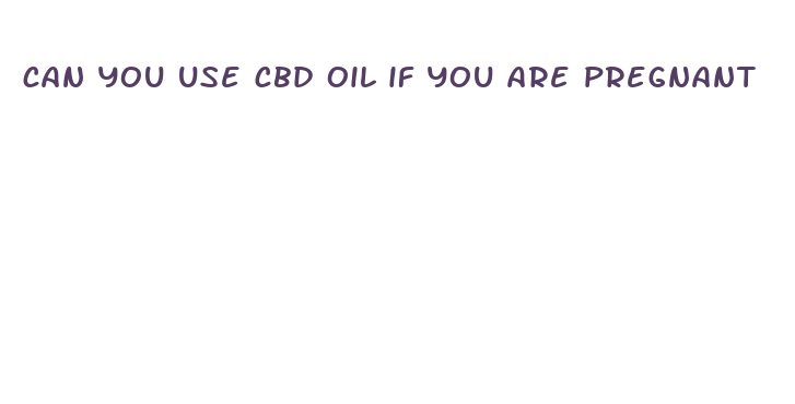 can you use cbd oil if you are pregnant