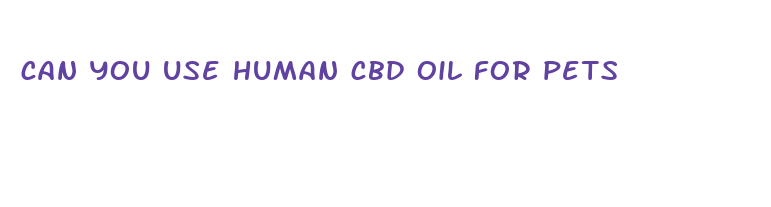 can you use human cbd oil for pets