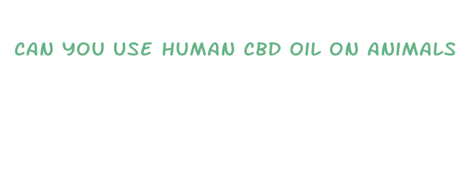 can you use human cbd oil on animals