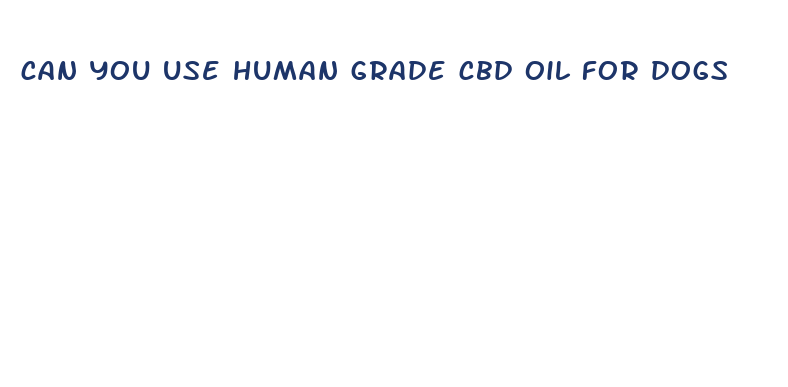 can you use human grade cbd oil for dogs