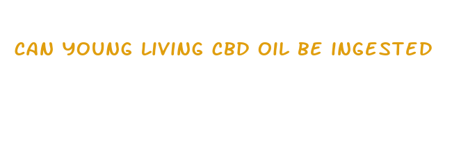 can young living cbd oil be ingested