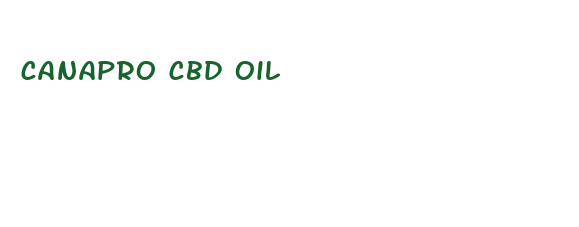 canapro cbd oil