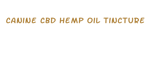 canine cbd hemp oil tincture