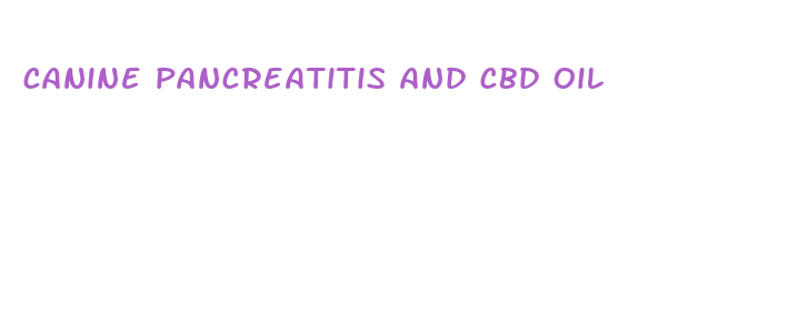 canine pancreatitis and cbd oil