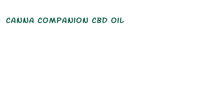 canna companion cbd oil