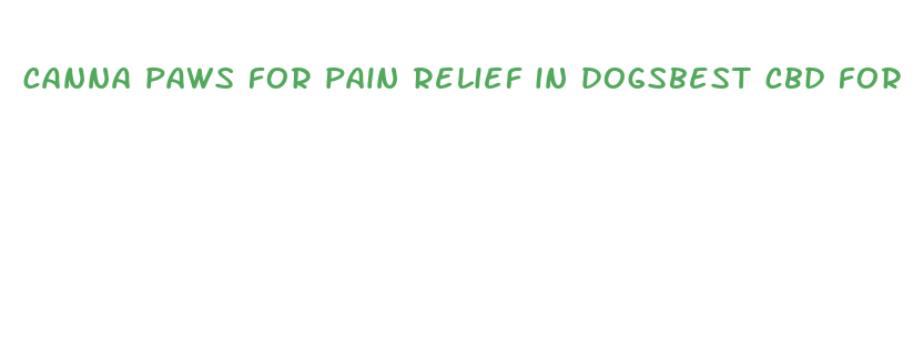 canna paws for pain relief in dogsbest cbd for dogs