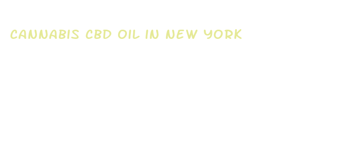 cannabis cbd oil in new york