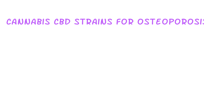 cannabis cbd strains for osteoporosis