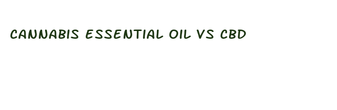 cannabis essential oil vs cbd