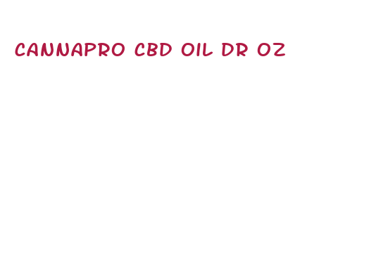 cannapro cbd oil dr oz