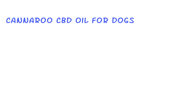 cannaroo cbd oil for dogs