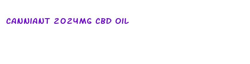 canniant 2024mg cbd oil