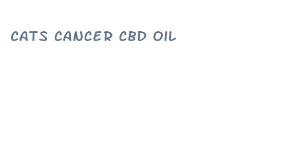 cats cancer cbd oil