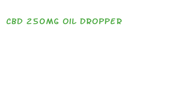 cbd 250mg oil dropper