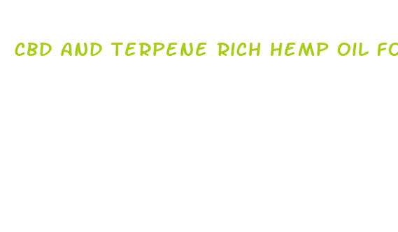 cbd and terpene rich hemp oil for pain