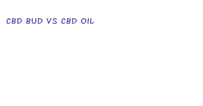 cbd bud vs cbd oil