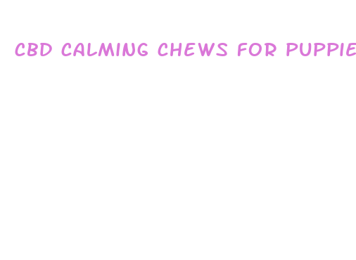 cbd calming chews for puppies