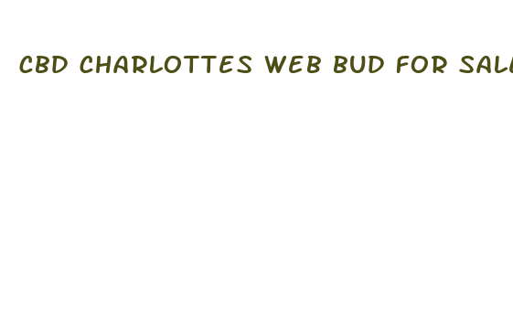 cbd charlottes web bud for sale