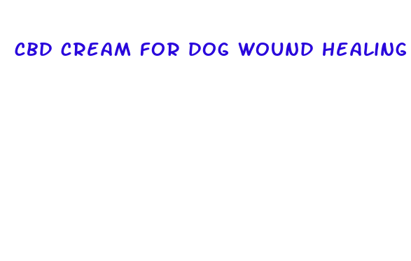 cbd cream for dog wound healing