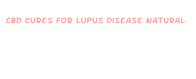 cbd cures for lupus disease natural