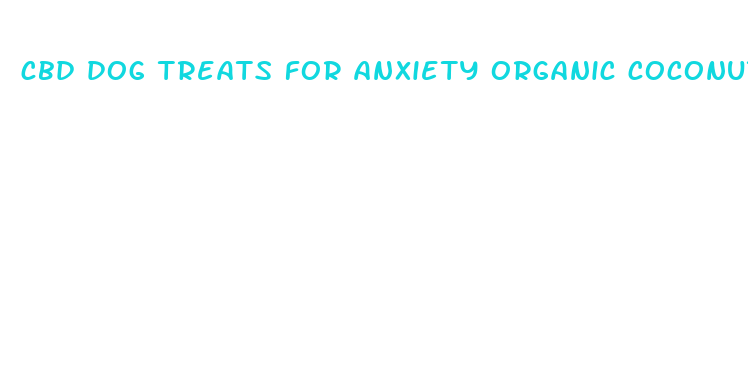 cbd dog treats for anxiety organic coconut oil