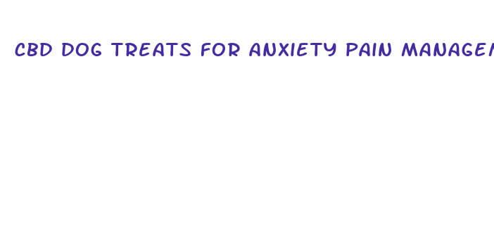 cbd dog treats for anxiety pain management