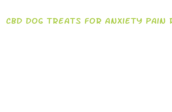 cbd dog treats for anxiety pain relief