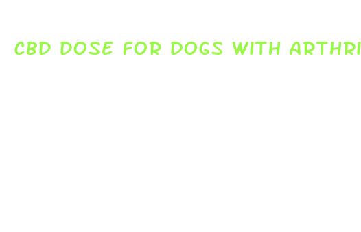 cbd dose for dogs with arthritis pain