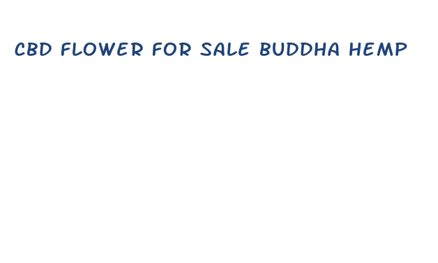 cbd flower for sale buddha hemp