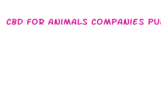 cbd for animals companies publicly traded